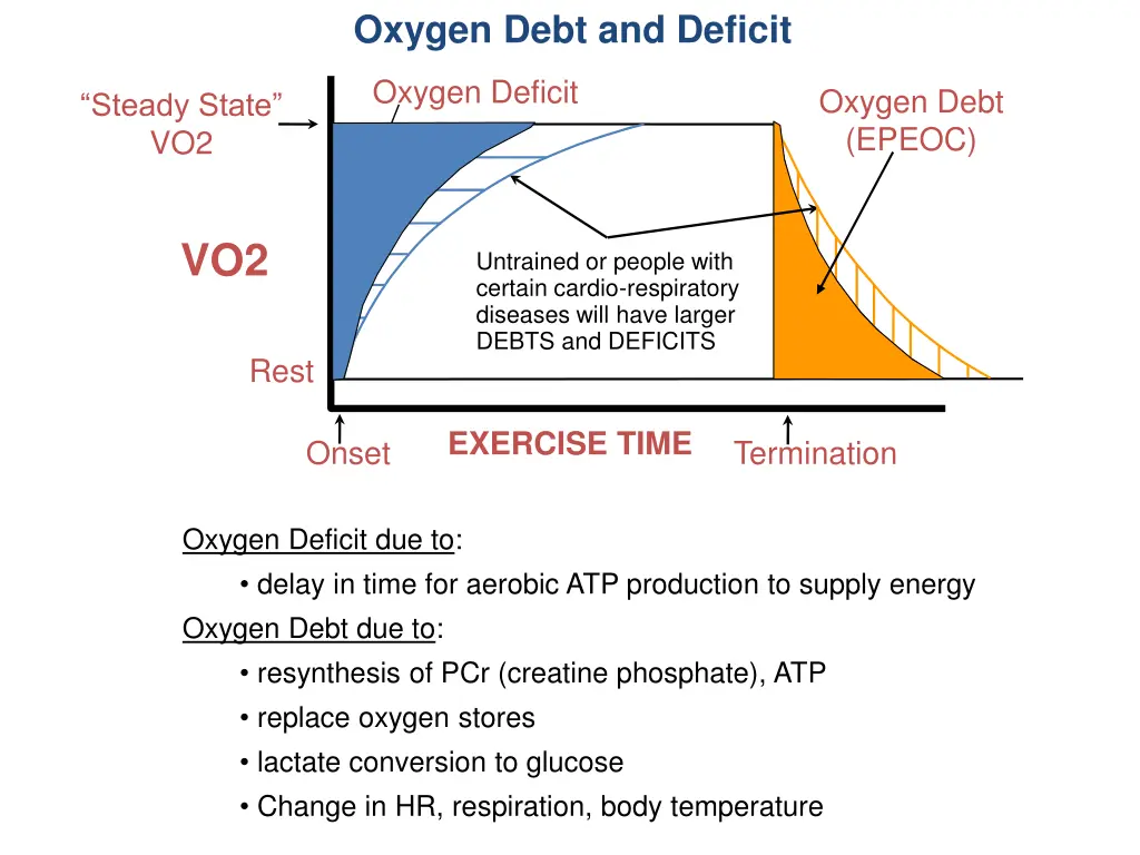 oxygen debt and deficit