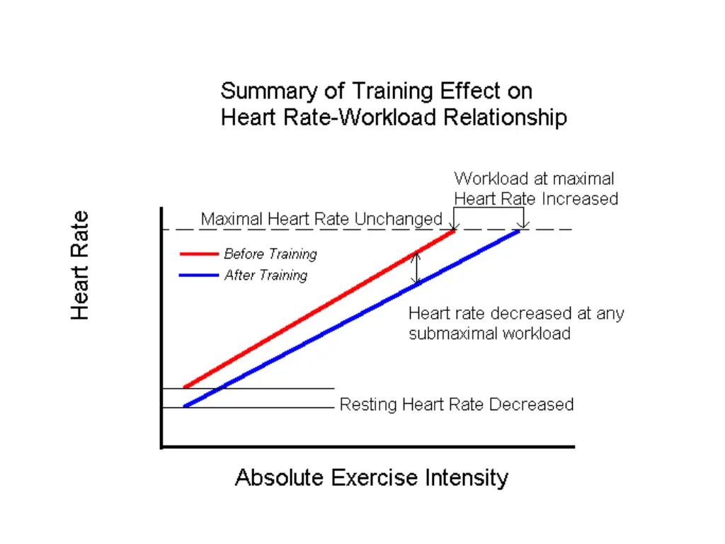 slide16