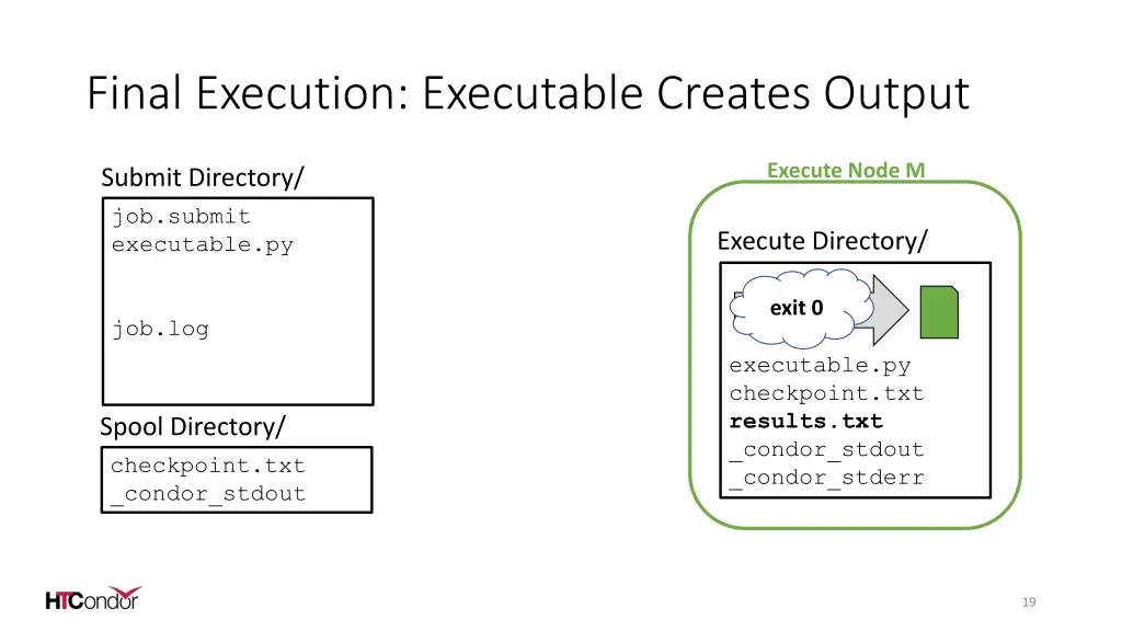 final execution executable creates output
