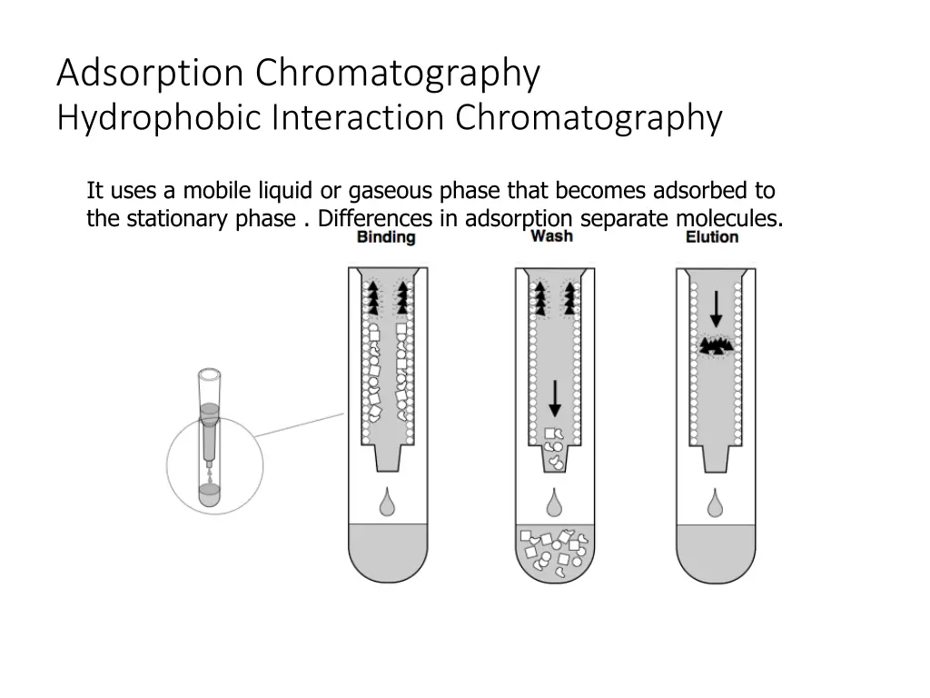 adsorption chromatography hydrophobic interaction