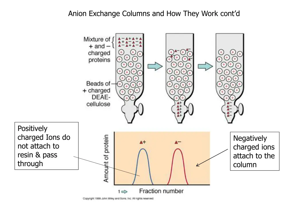 anion exchange columns and how they work cont d