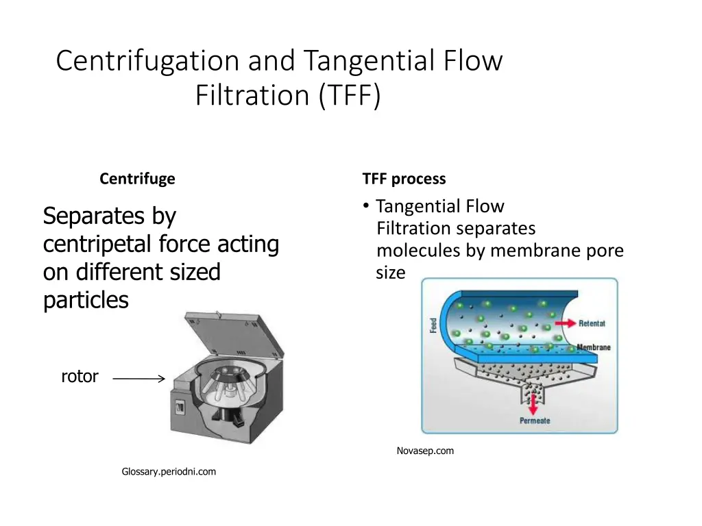 centrifugation and tangential flow filtration tff