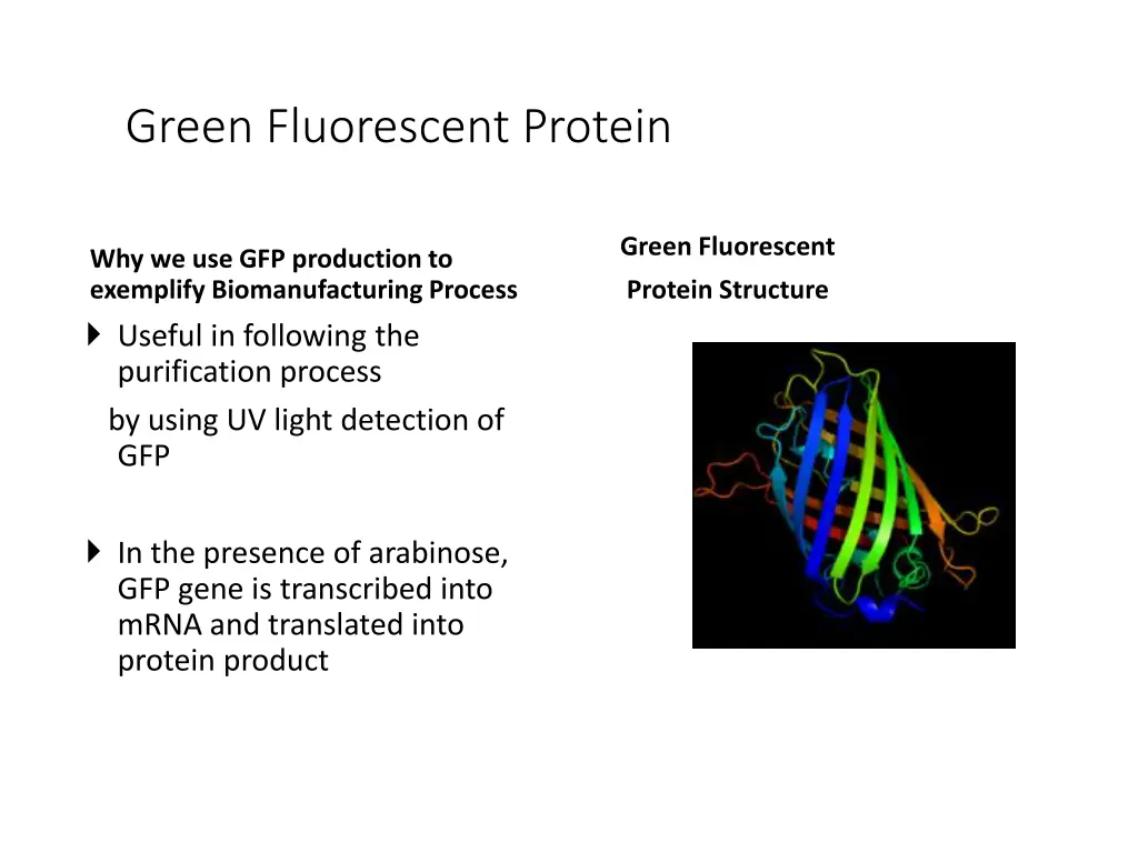 green fluorescent protein