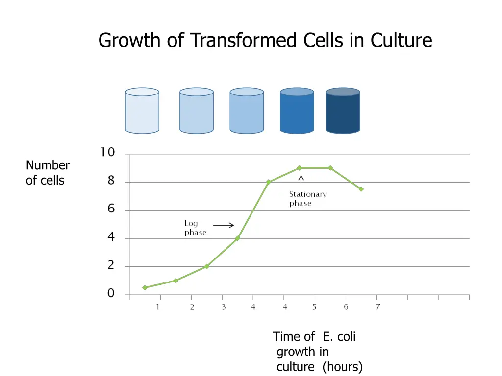 growth of transformed cells in culture