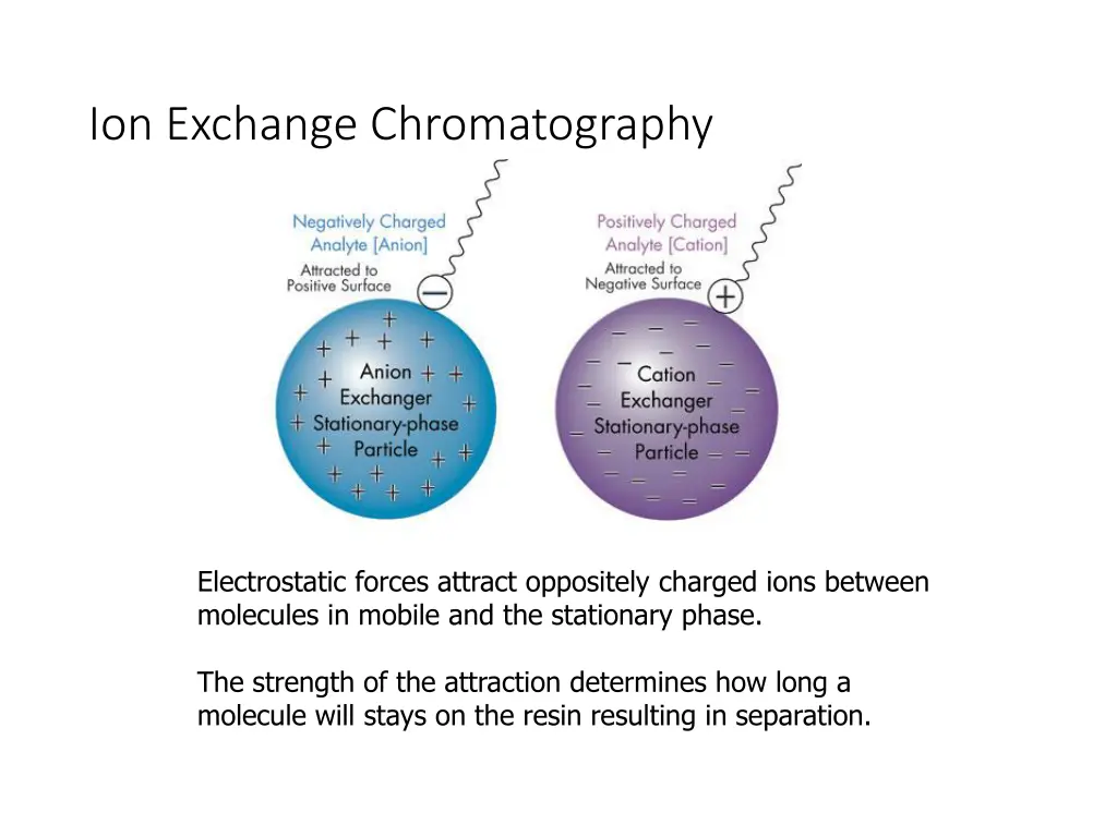 ion exchange chromatography