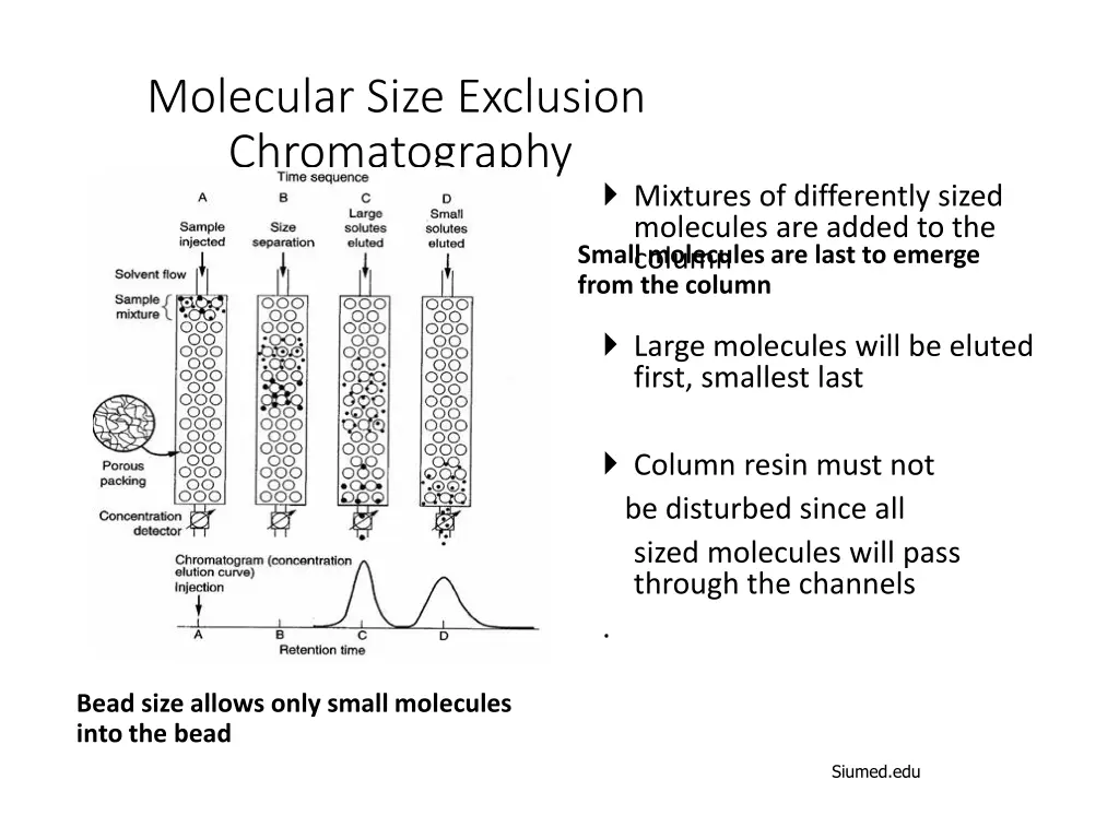 molecular size exclusion chromatography