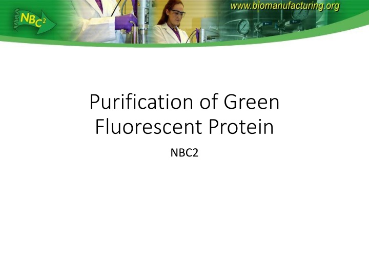 purification of green fluorescent protein