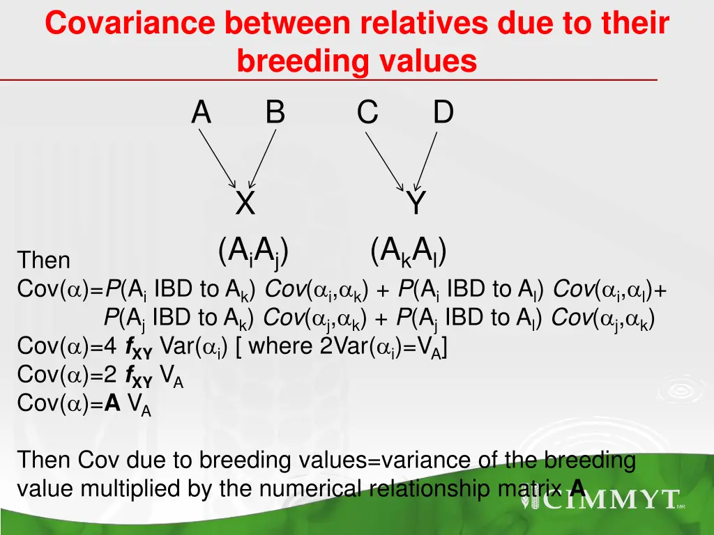 covariance between relatives due to their 2