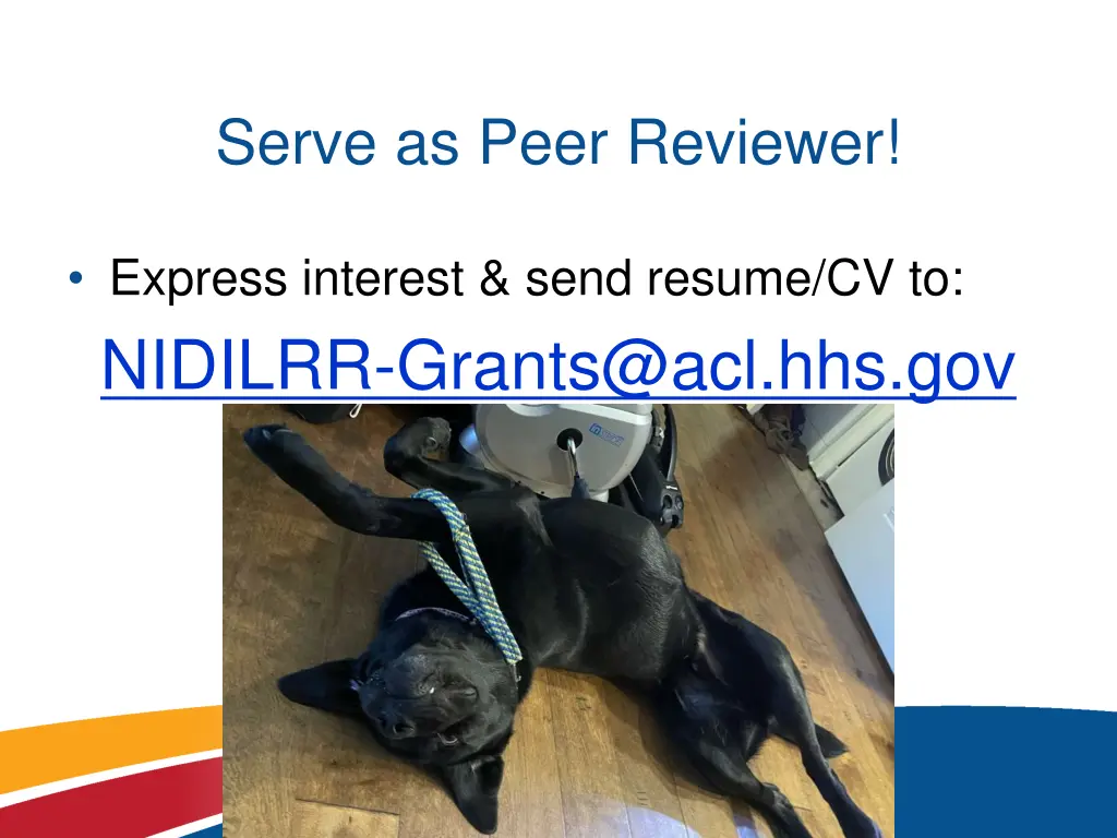 serve as peer reviewer