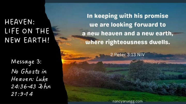heaven life on the new earth