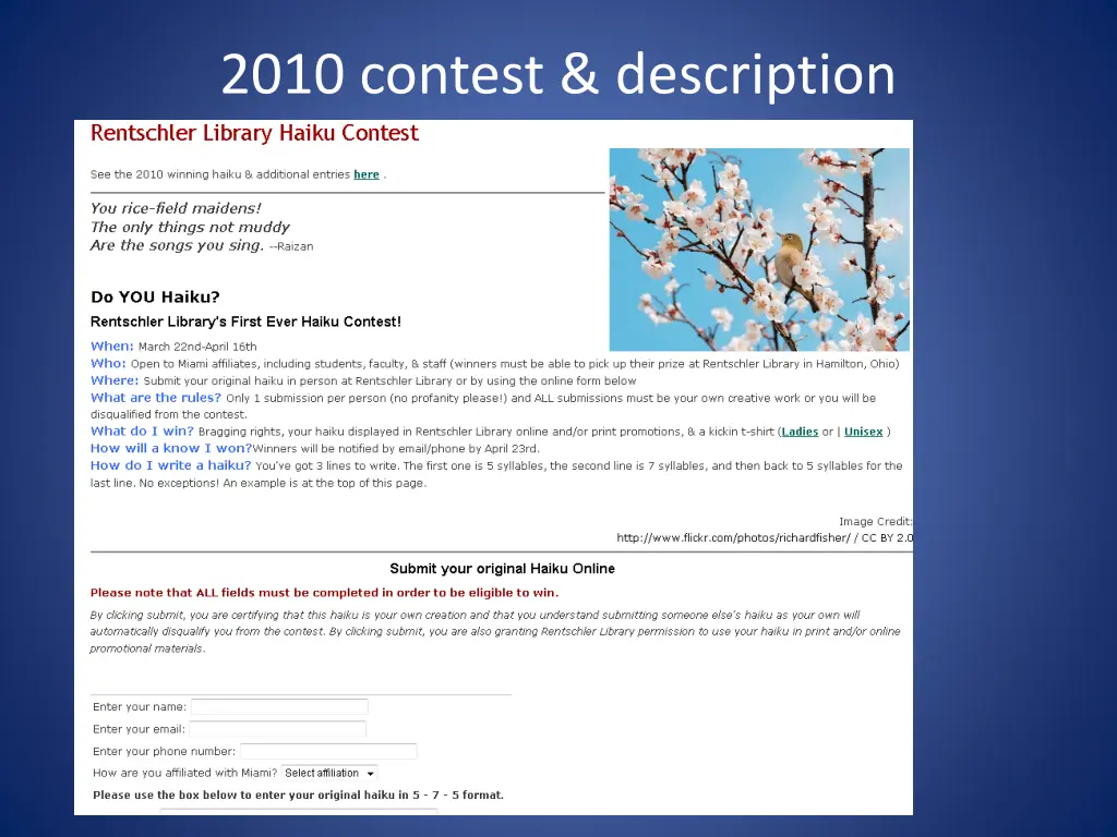 2010 contest description