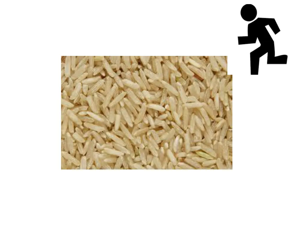 slide4