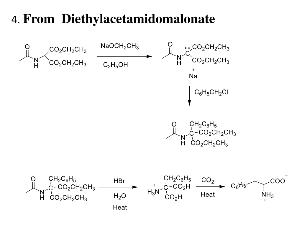 4 from diethylacetamidomalonate