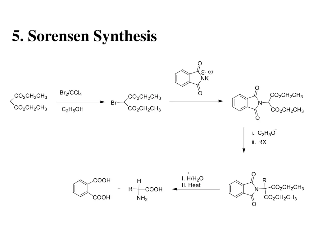 5 sorensen synthesis