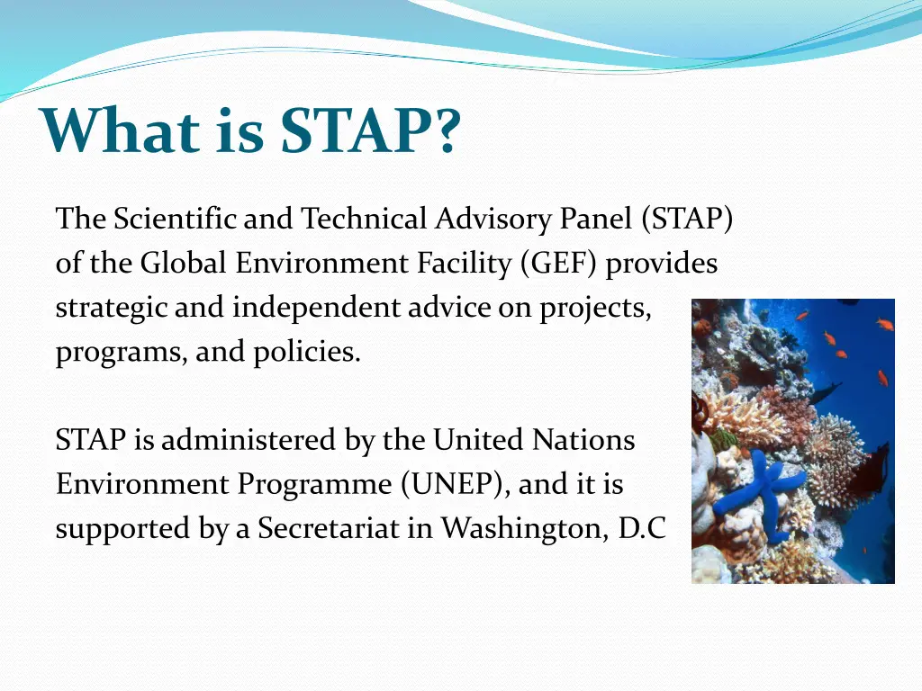 what is stap 1