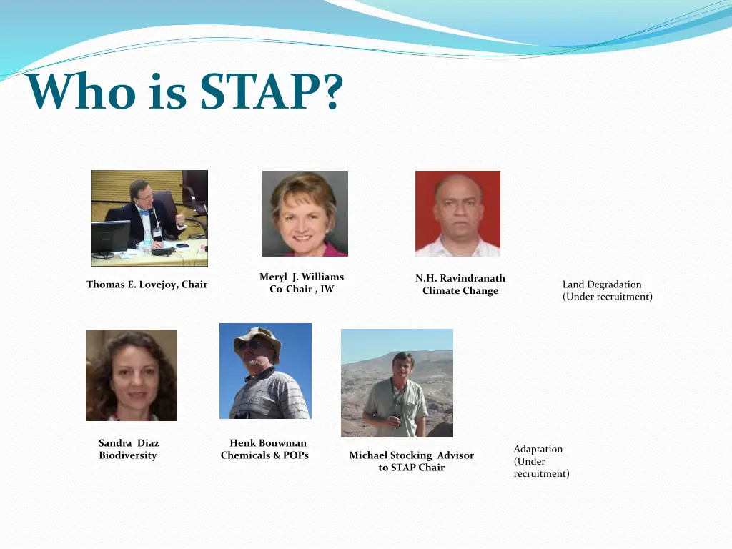 who is stap