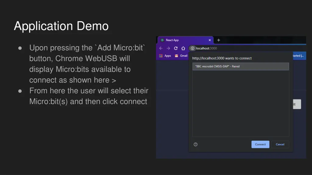 application demo 1