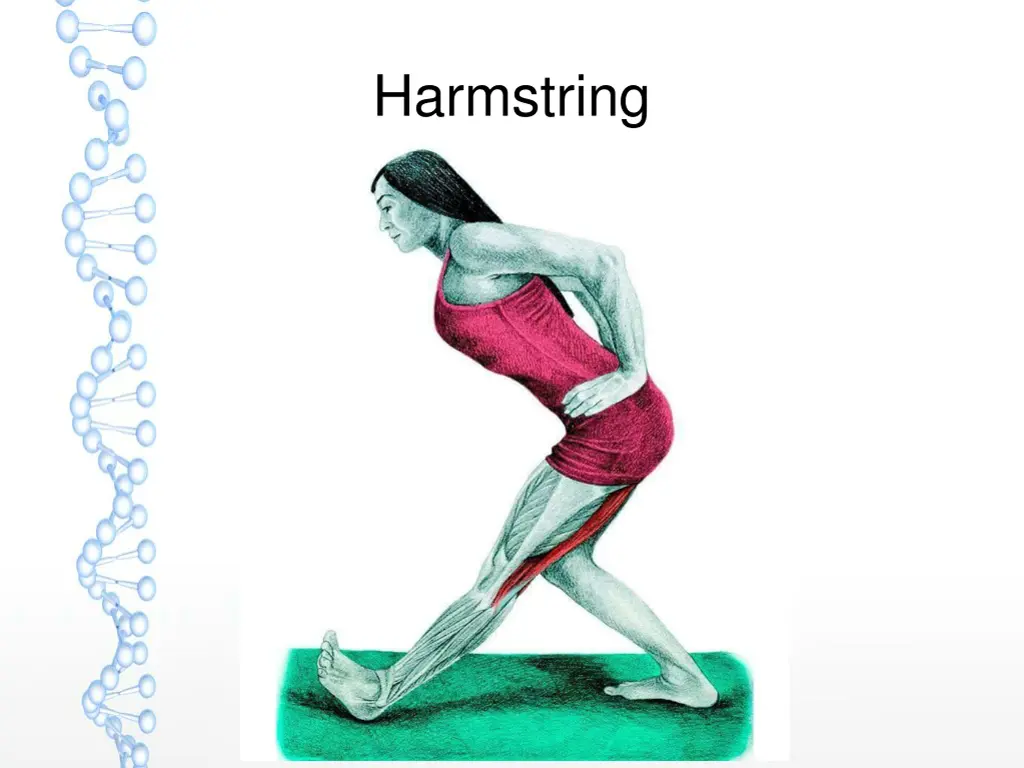 harmstring