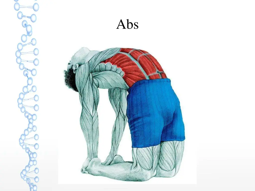 slide7