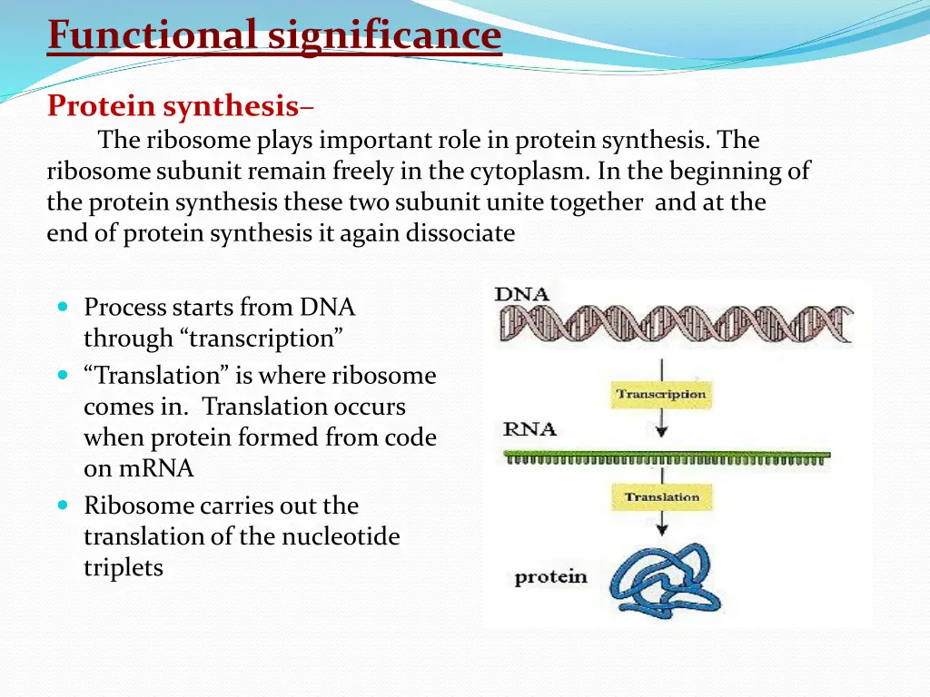 functional significance