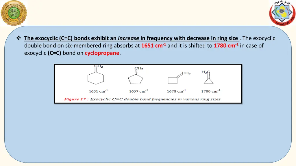 the exocyclic c c bonds exhibit an increase