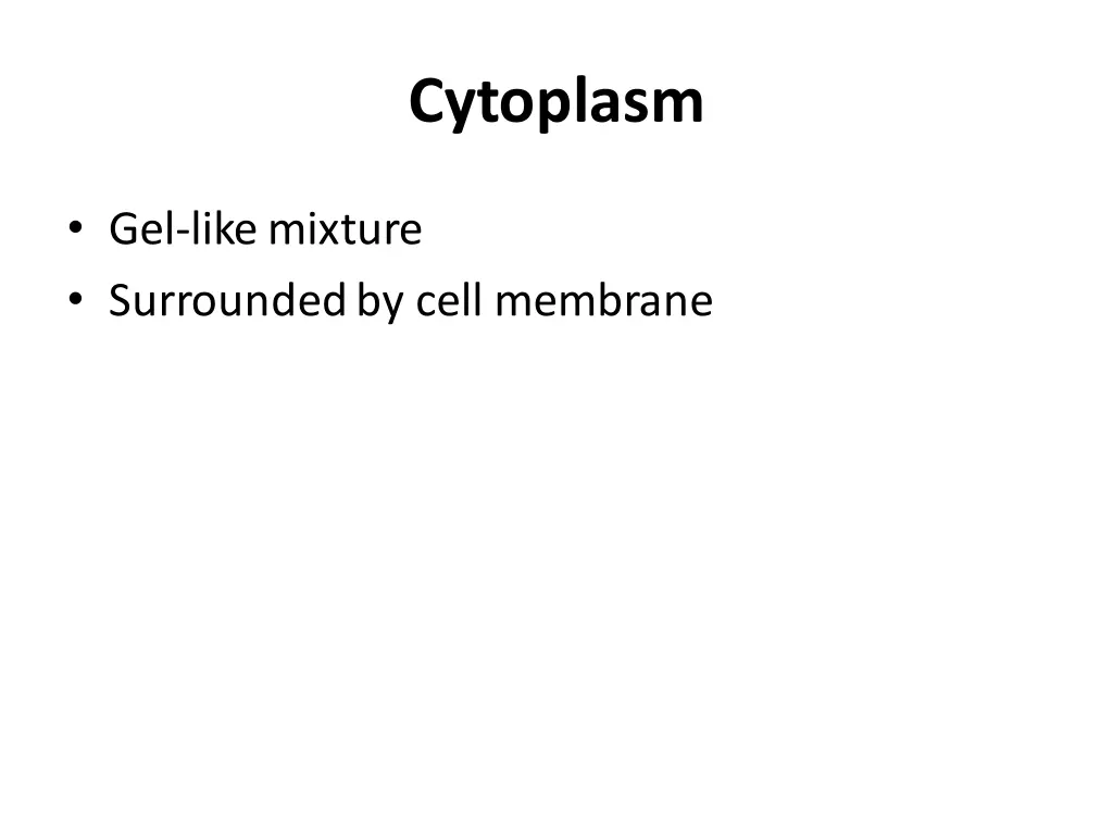 cytoplasm
