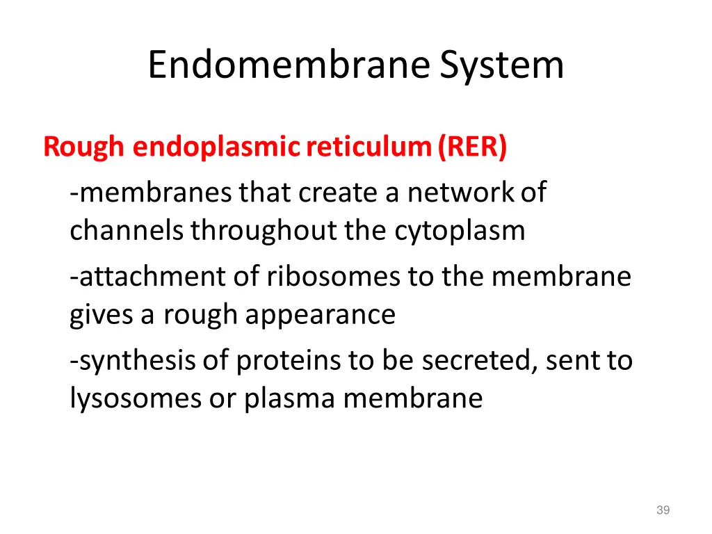 endomembranesystem