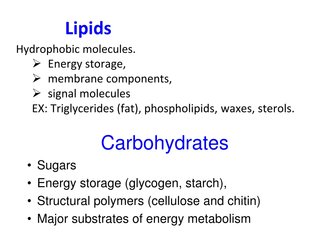 lipids