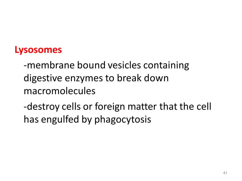 lysosomes membrane boundvesicles containing