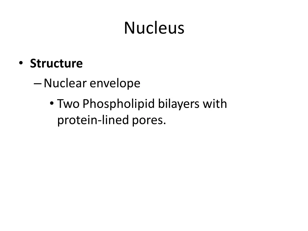 nucleus 1