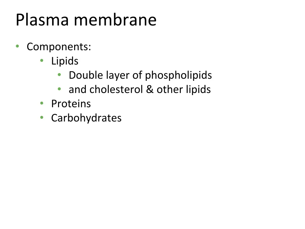 plasma membrane