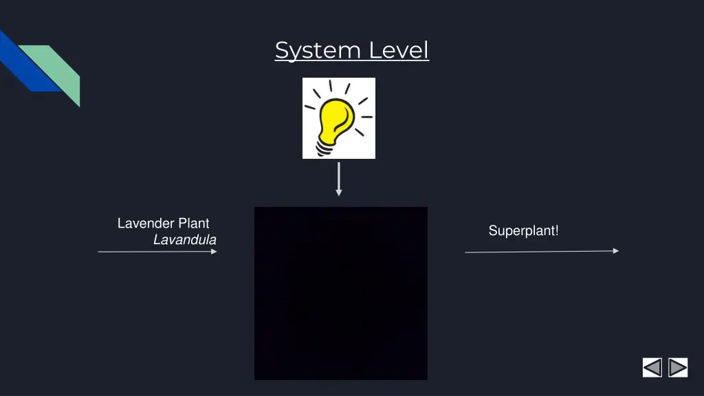 system level
