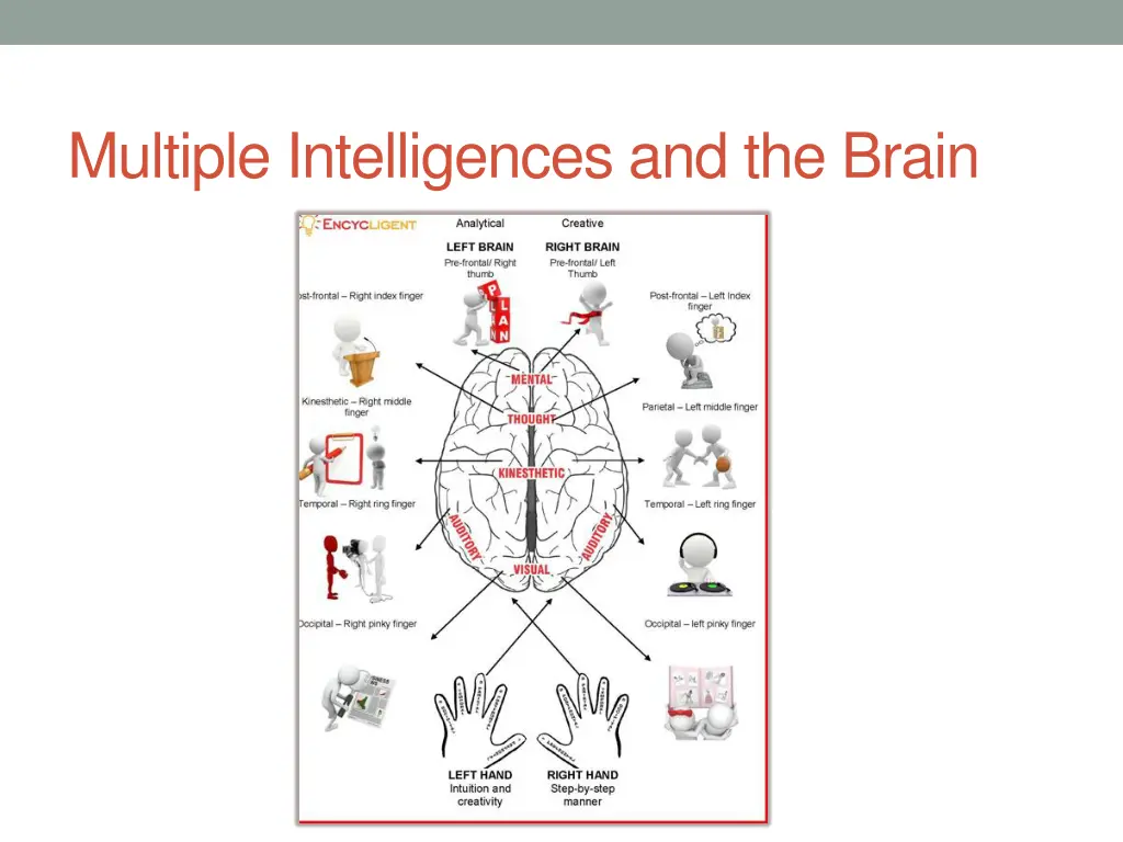 multiple intelligences and the brain