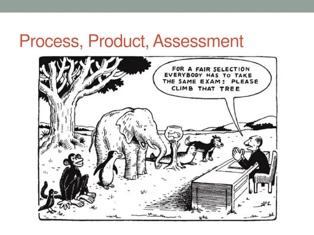 process product assessment