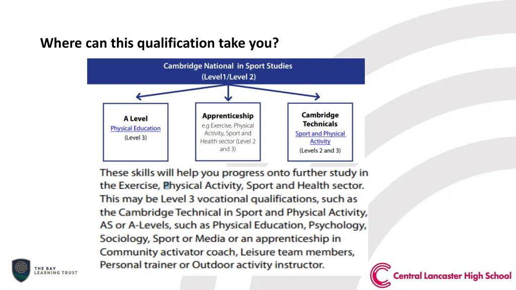 where can this qualification take you