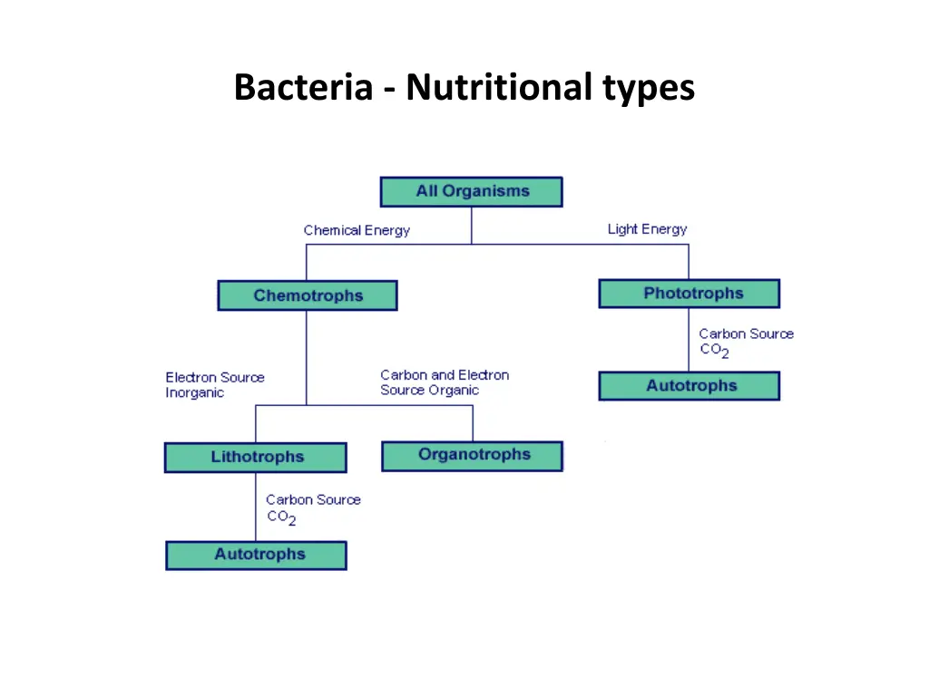 bacteria nutritional types