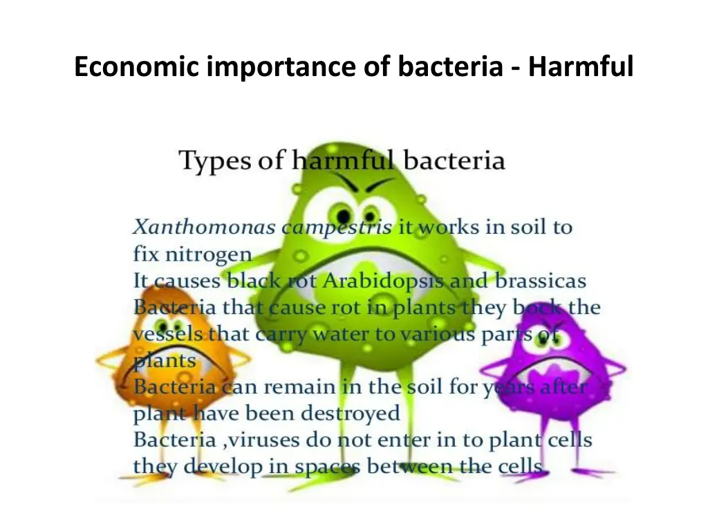 economic importance of bacteria harmful