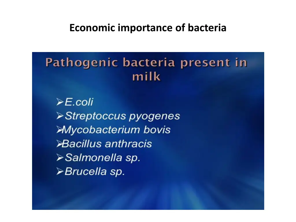 economic importance of bacteria