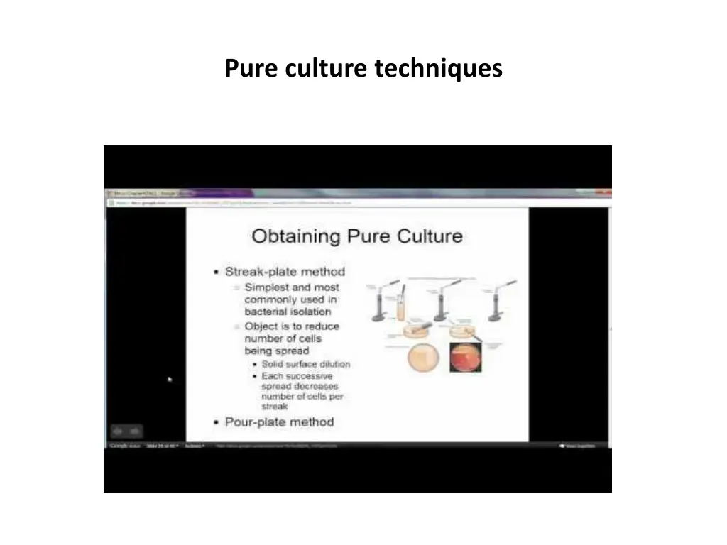 pure culture techniques 1