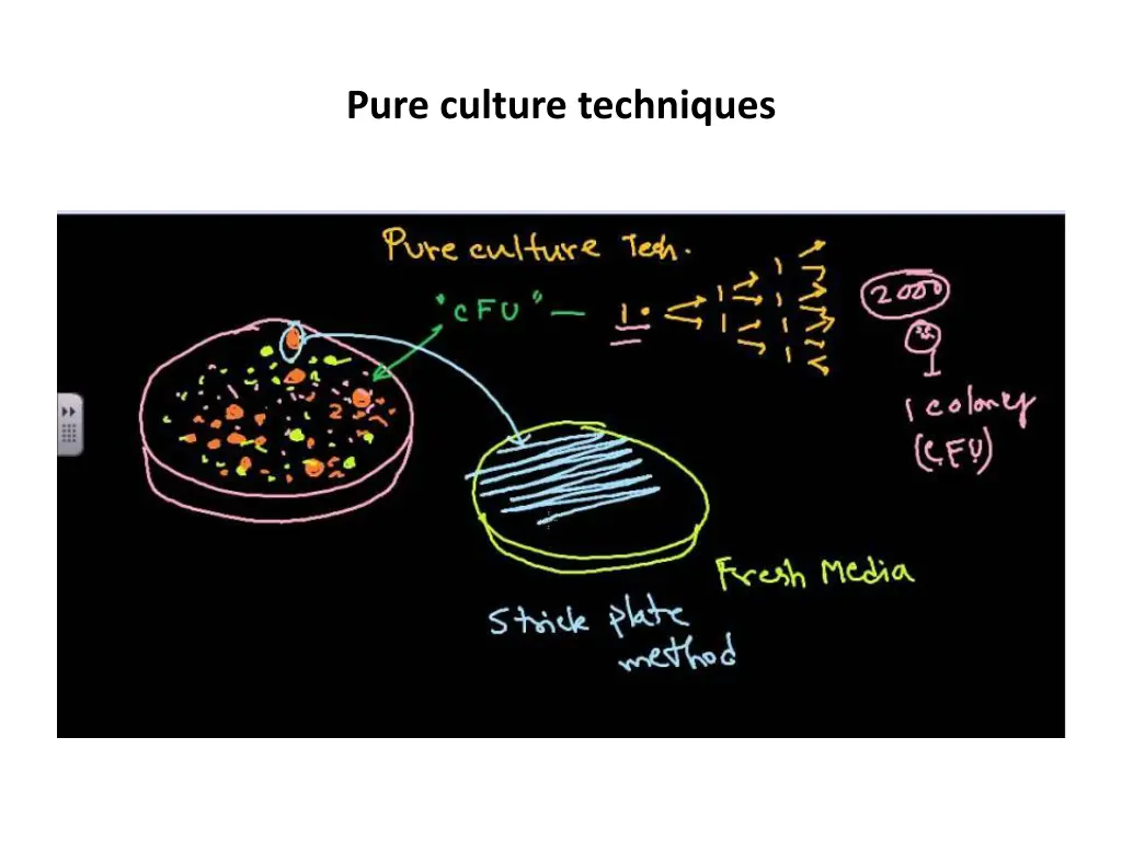 pure culture techniques