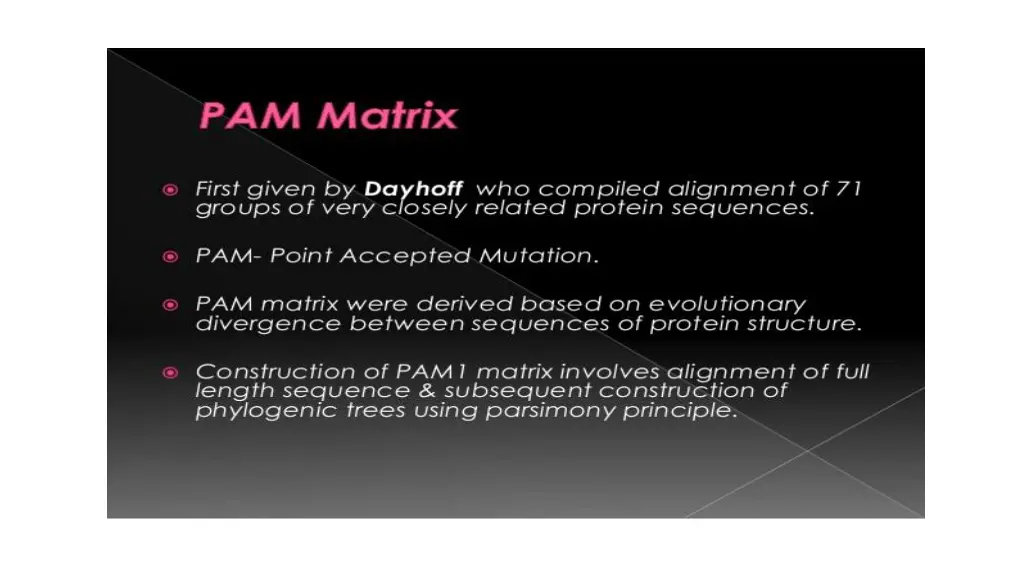 slide19