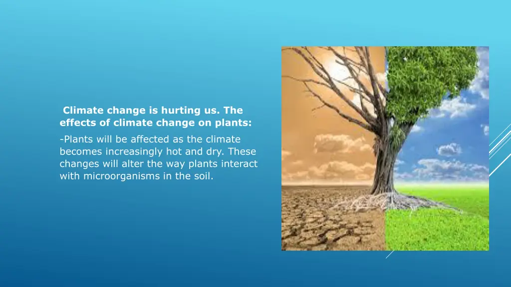 climate change is hurting us the effects
