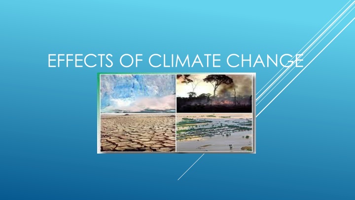 effects of climate change