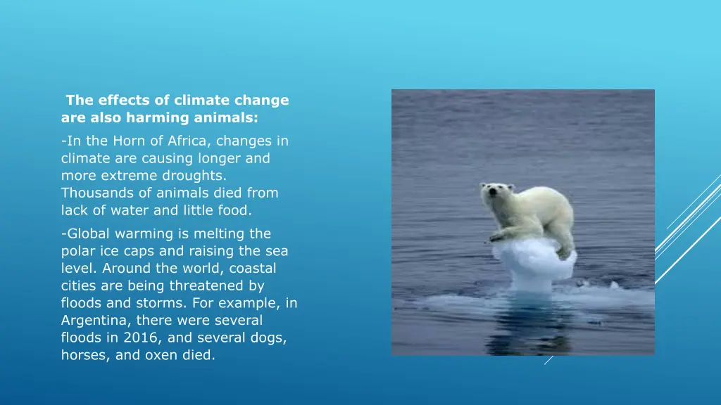 the effects of climate change are also harming