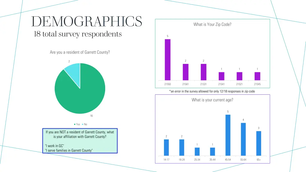 demographics 18 total survey respondents