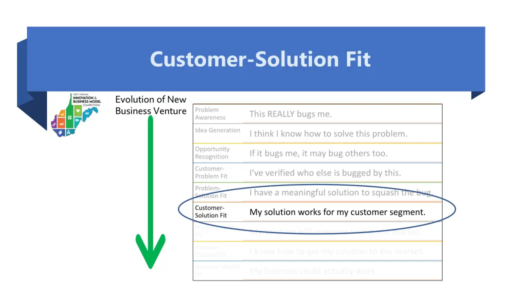 customer solution fit