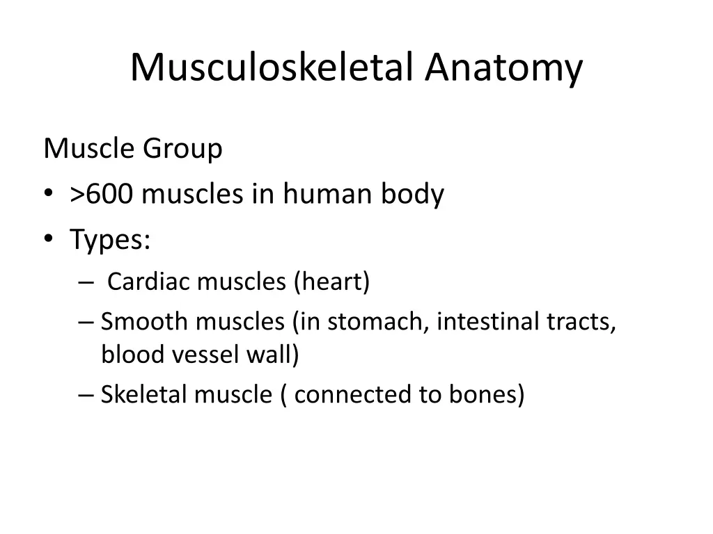 musculoskeletal anatomy