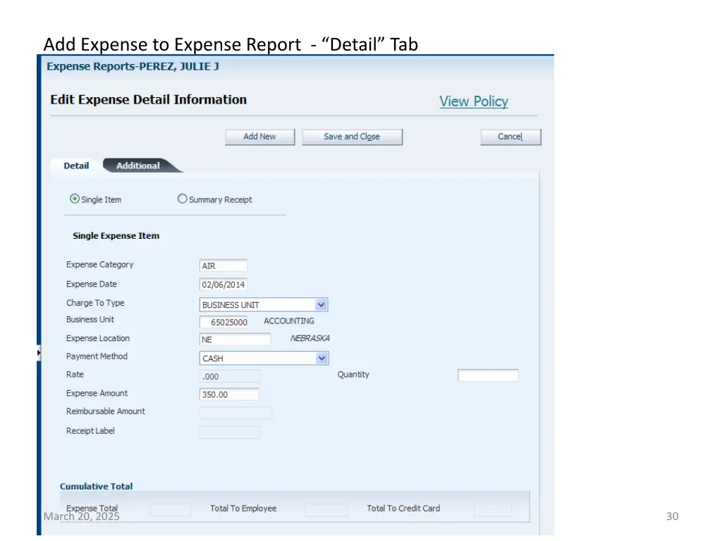 add expense to expense report detail tab