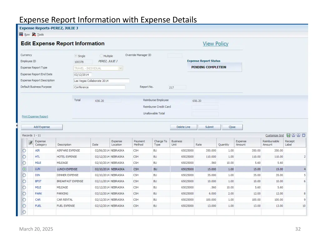 expense report information with expense details