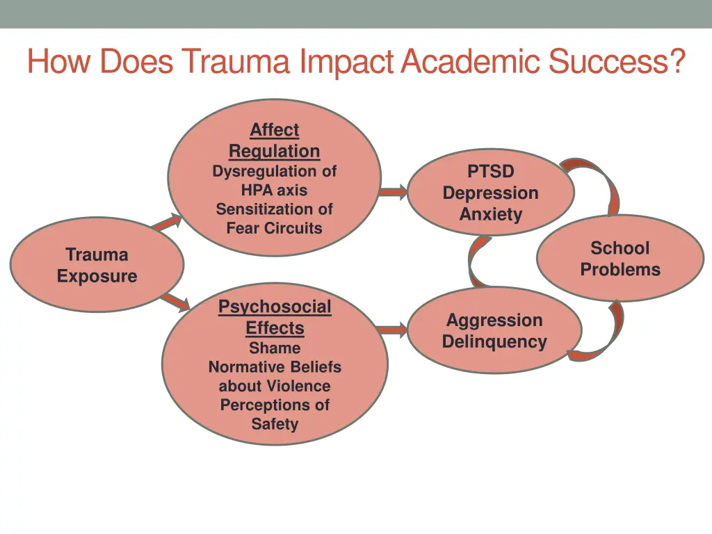 how does trauma impact academic success 1